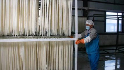 稅務(wù)賦能，非遺“活”起來 延邊稅務(wù)助力非物質(zhì)文化遺產(chǎn)傳承與發(fā)展