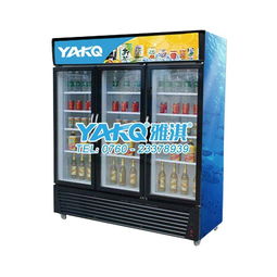 雅淇品牌便利店飲料展示柜 塑料框保鮮冷藏設備的理想之選
